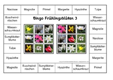 Bingo-Frühlingsblüten-3.pdf